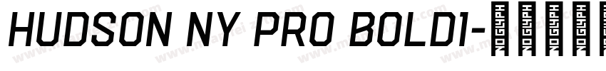 Hudson NY Pro Bold1字体转换